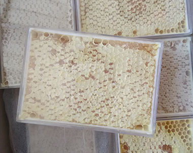 天然蜂巢蜜批发 蜂产品招商代理可预定贴牌