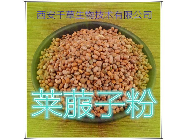 莱菔子提取物 全水溶 药食同源 西安千草现货