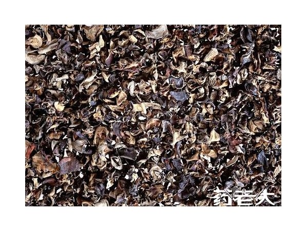 新资源提取物