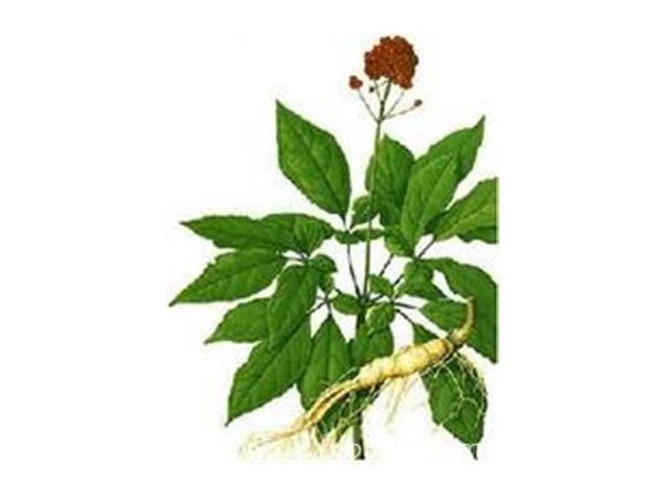 新资源提取物