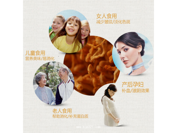 贞康牡丹虫草茶 1克/袋*24袋*2盒 调节免疫
