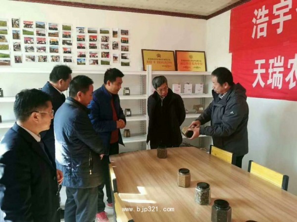 木姜叶柯提取物高品质原料