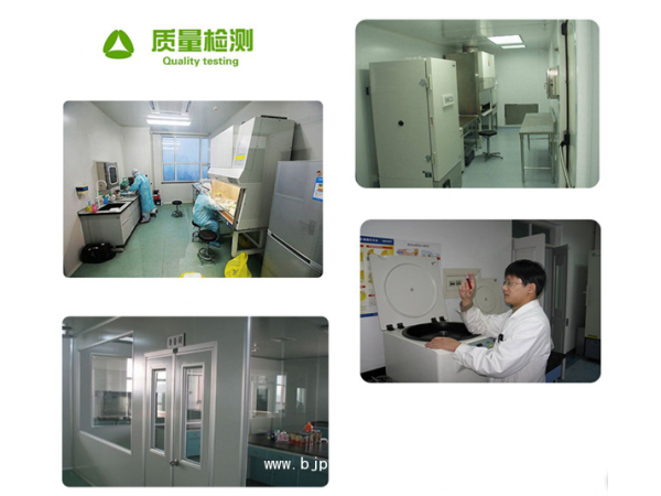 线叶金雀花提取物天瑞植提大厂家