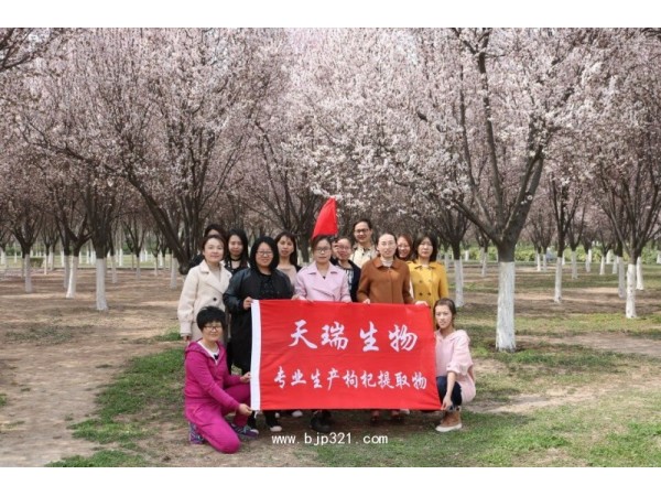 蒲公英提取物源头厂家