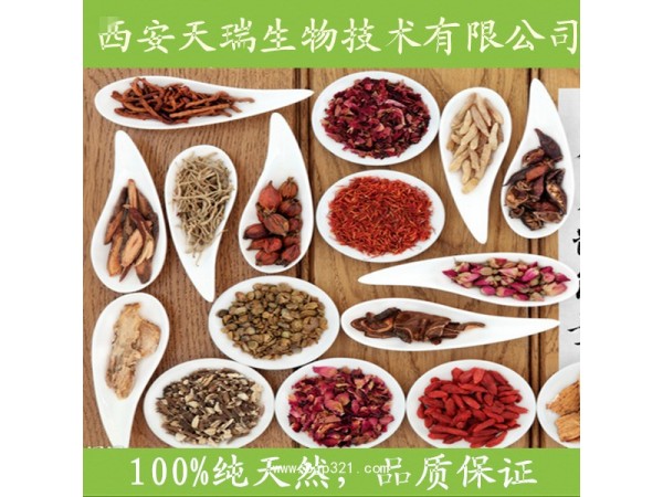 益母草提取物