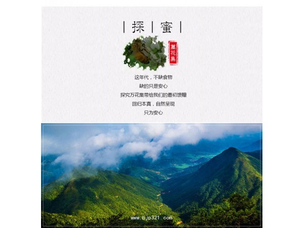 万花集精品土蜂蜜