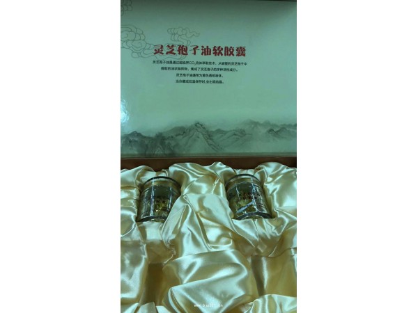 灵芝孢子油