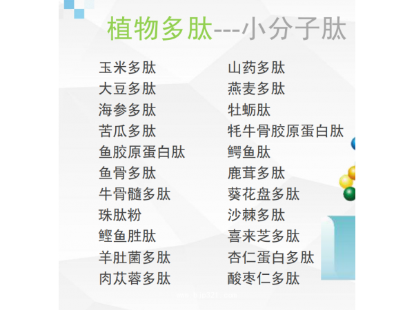 燕麦多肽燕麦小分子肽好吸收