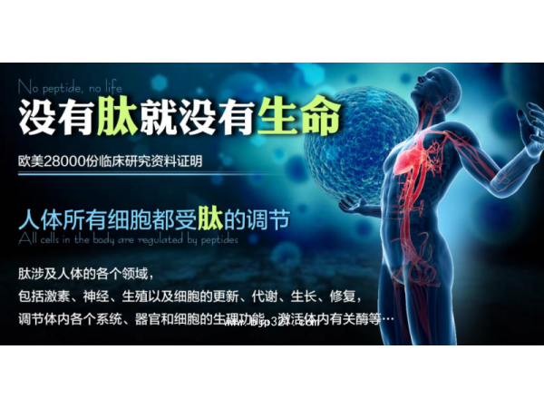 牡蛎肽80-98%小分子好吸收