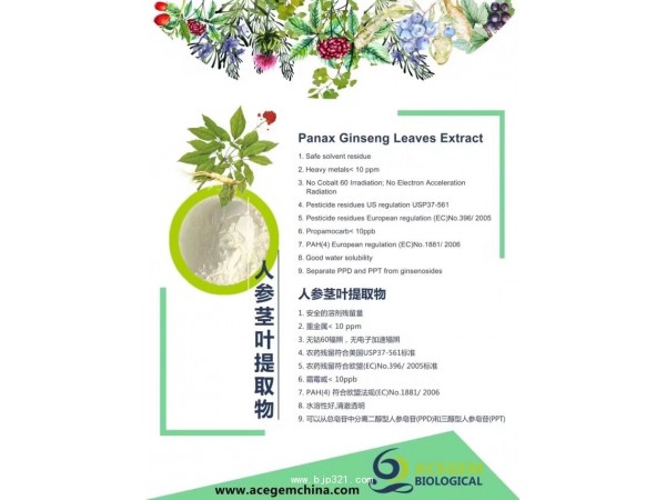 人参提取物