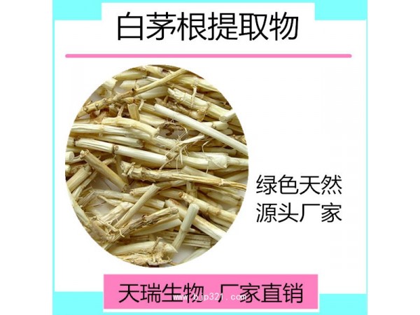 白茅根提取物