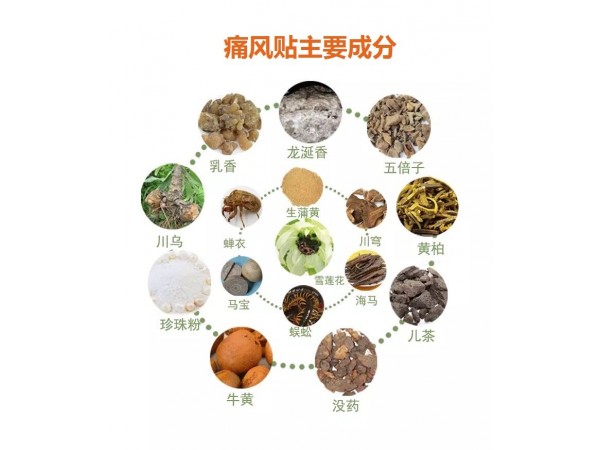 华纵堂-痛风贴 穴位贴敷治疗贴