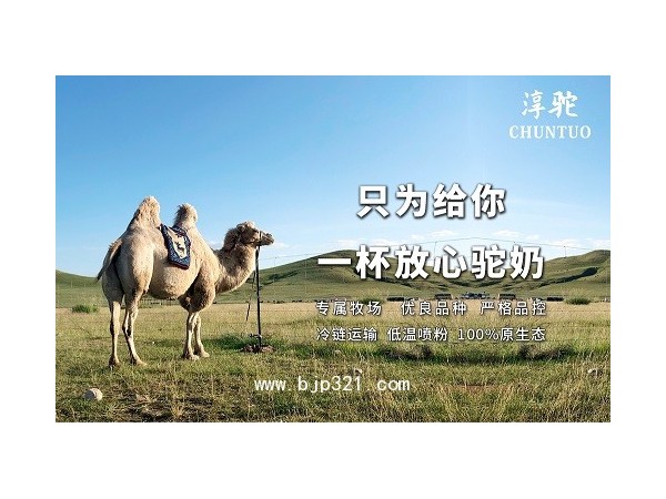 淳驼驼奶招商