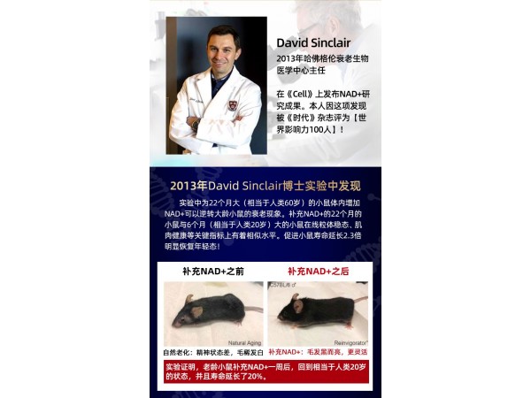 日本NMNβ-烟酰胺单核苷酸抗衰防老化美容
