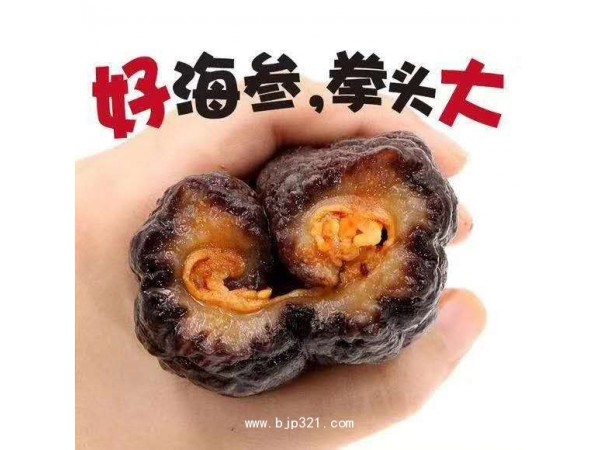 冰岛纯野生红极参