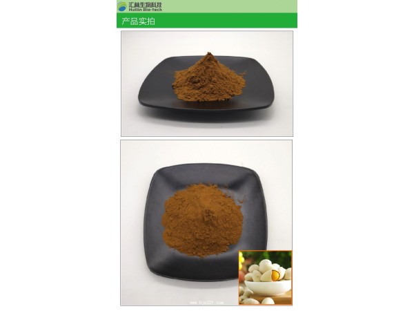 白果提取物10:1 白果浓缩粉
