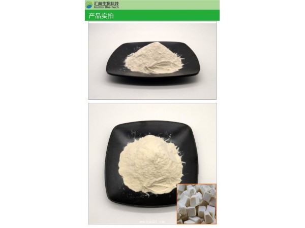 白茯苓提取物10:1 白茯苓浓缩粉 量大优惠