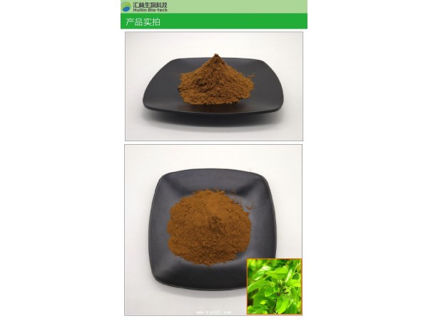 桑叶提取物