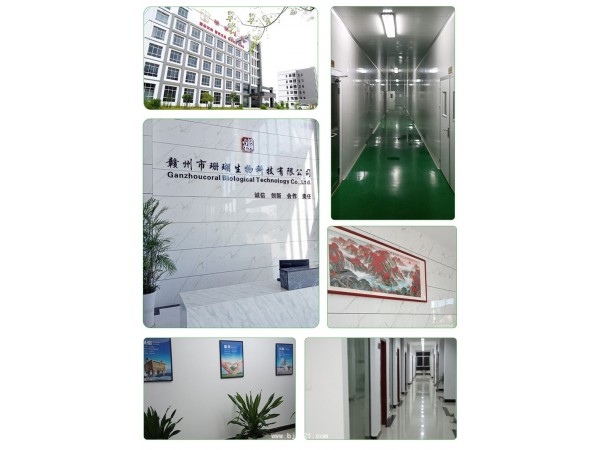 饮典圣唯欣果蔬纤维菌批发零售代加工