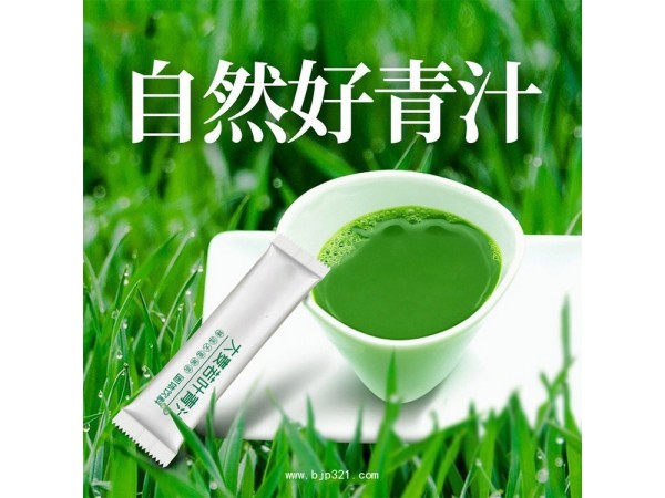 大麦若叶青汁OEM贴牌定制代加工
