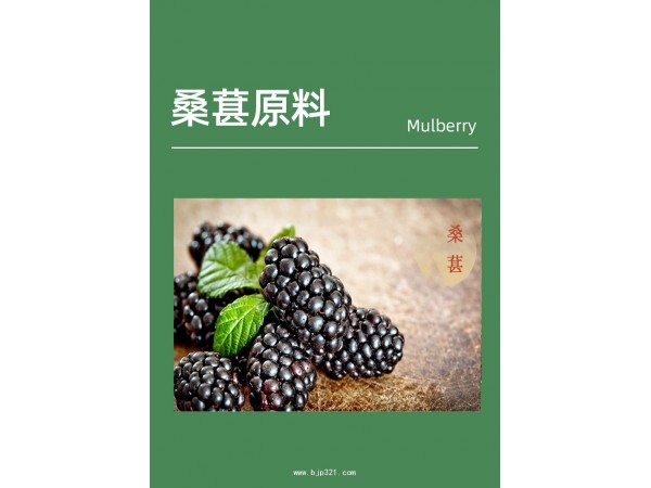 桑葚酵素植物饮品定制代加工