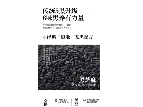 黑芝麻桑葚液态饮贴牌代加工厂